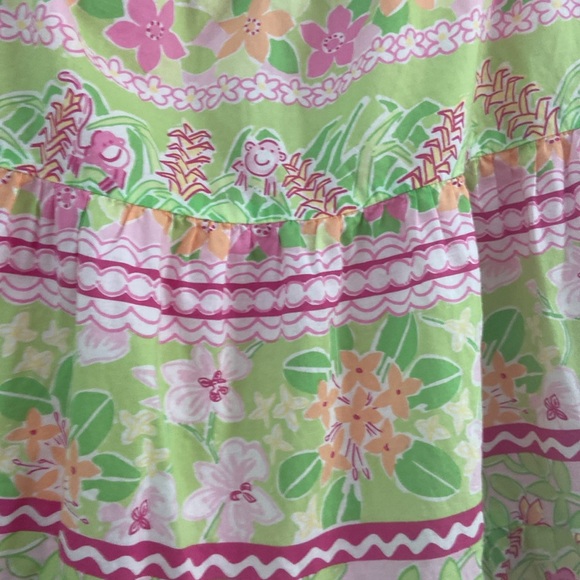Lilly Pulitzer skirt - Picture 2 of 4